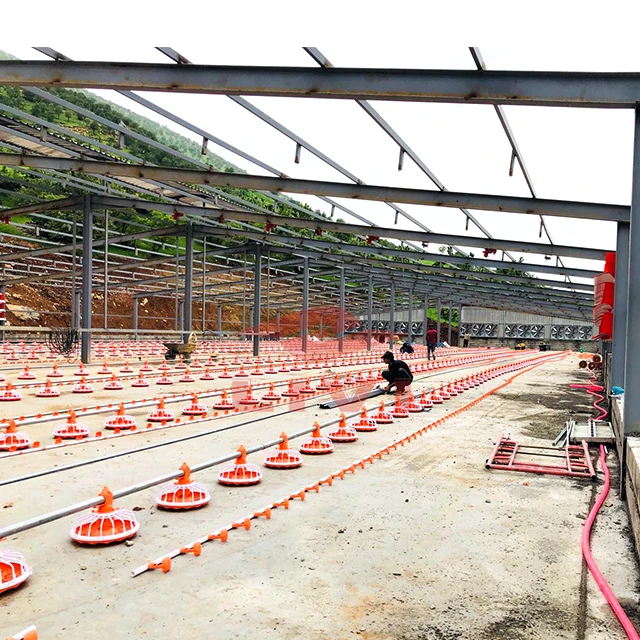 Chicken Cage Broiler Floor Raising Equipment Suppliers Automatic Chicken Feeding System