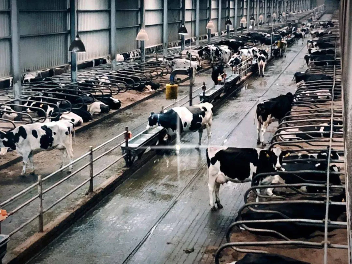 Animal Husbandry Equipment LED Flashing Cow Locating Tag Dairy Cattle Finder with LED guiding Easy Tracking Tag