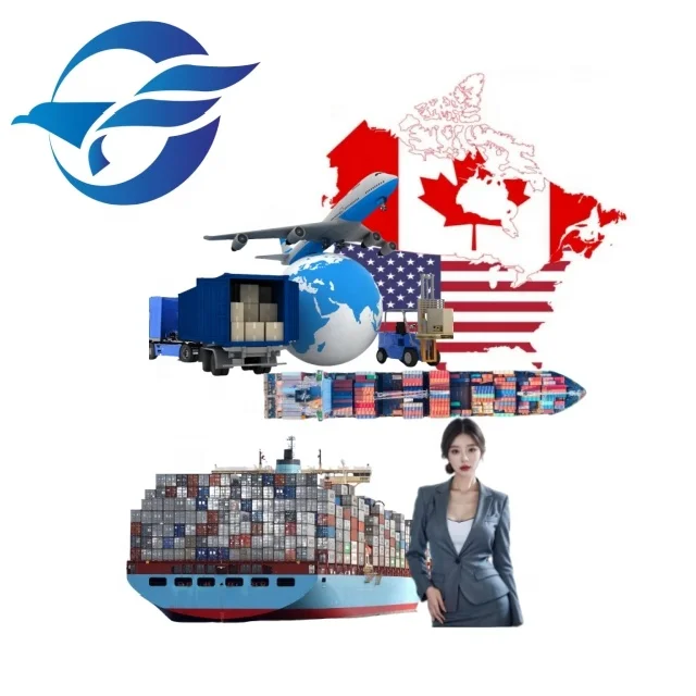 More Than 20 Years Of Experience In Shipping Services Shipping Rates From China to United States