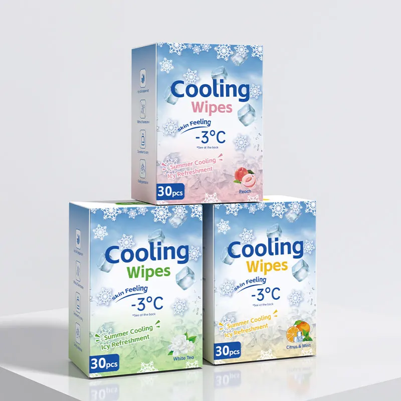 OEM ODM Body Cleaning Wet Wipes Skin Care Wipes Ice Cool Wipes for Adults