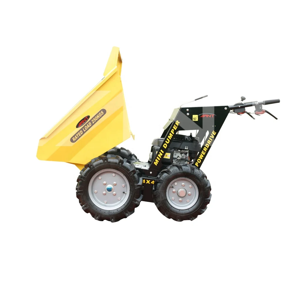 Mini farm tractor Wheel loader with CE and EPA ANT BY250