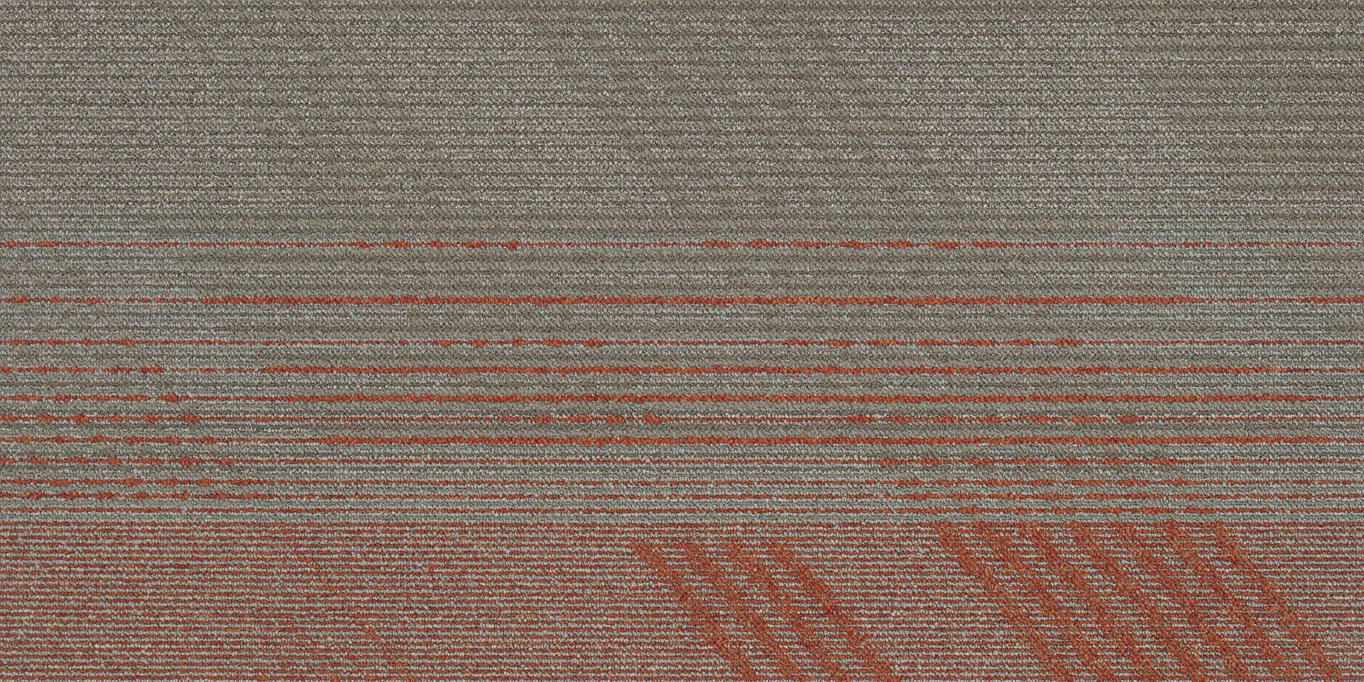 50*100cm Best Design Square Carpet Tile Floor Carpet Tile For Commerical and Residential Use 6.5mm thk
