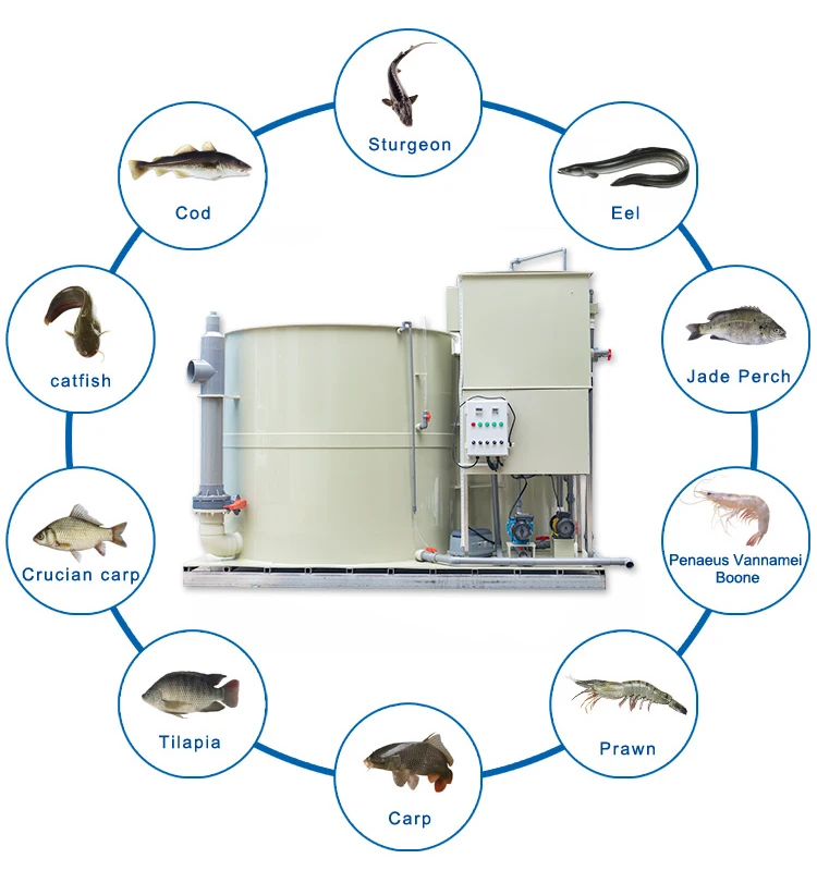 Система аквапоники QLOZONE pisciculture для рыбы и овощей оптовая продажа оборудование аквакультуры система рыбоводства