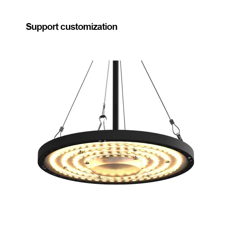High Bay LED Full Spectrum Grow Lights Indoor Dragon Fruit Planting Greenhouse Greenhouse Greenhouse Planting Dragon Lights