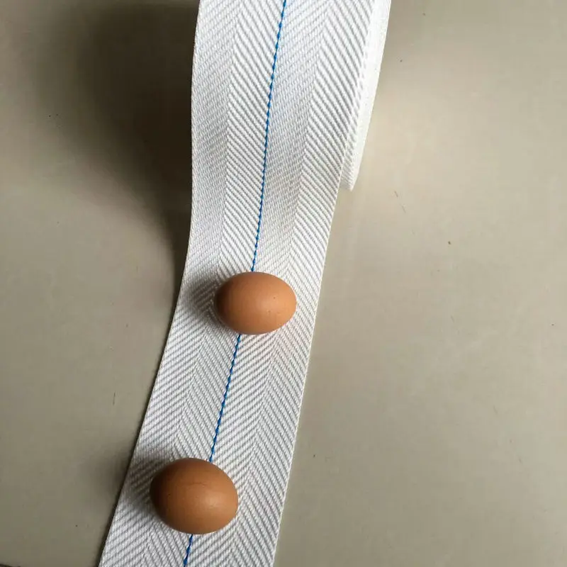 Special  made 10 cm width PP Webbing strap Moving belt with UV Resistance for Egg Conveying belt