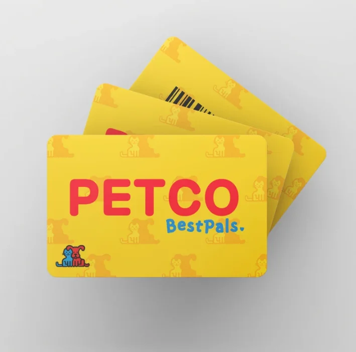 Personalize Id Card Maker In Bulk Personalize Plastic Card Print For Teacher Student custom logo pvc plastic waterproof cards