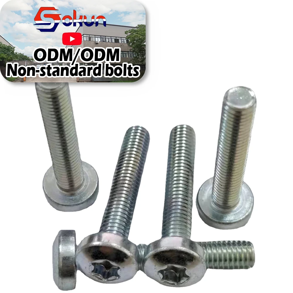 M4, M5, M6, M8, M10, M12 Anti-Theft Safety Security Screw, Nut, and Bolt  Secure Fastening Solutions