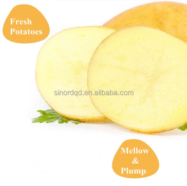 Export China Suppliers Cheap Prices High Quality Mesh Bag Dried Holland Fresh Potatoes