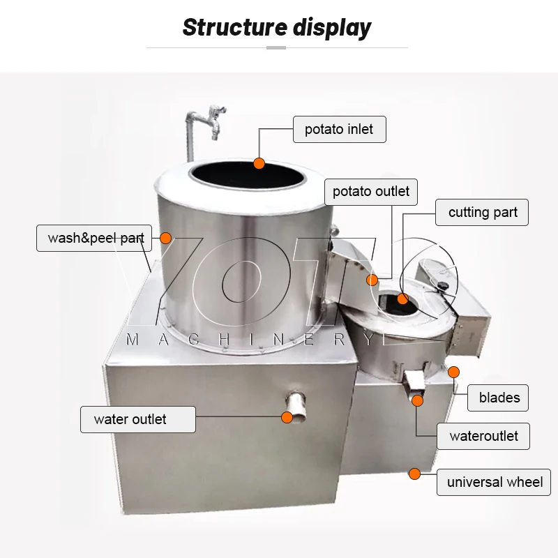 Automatic Fruit Washing Peeling and Slicer Machine for Ginger and Potato Chips in Egypt