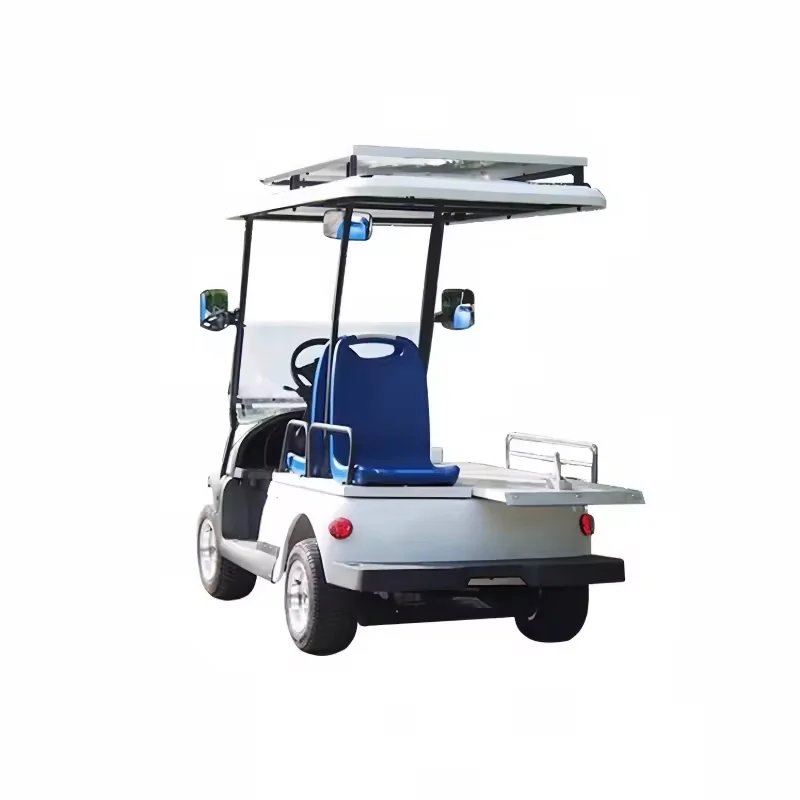 High Quality Mini Ambulance Vehicle Electric Special Transportation 48V 2 Seat Electric Ambulance for Sale