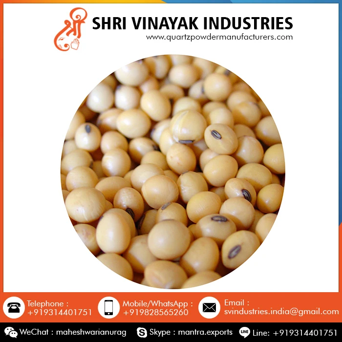 
Food Grains Organic Soybean Seeds 