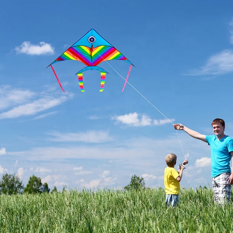 Professional Manufacture easy flying colorful fish delta animal kite