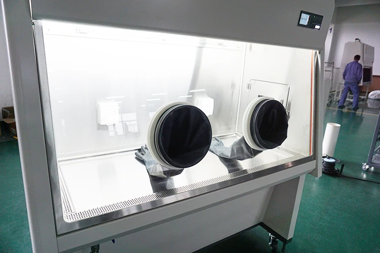 Cheap price Medical Lab Class  3 Biological Safety Cabinet Biosafety Cabine