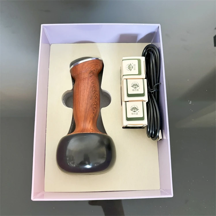 2024 Hot Sale Electric Meridian Bianstone Moxibustion Instrument Scraping Body Massage Meridian Health Care Tools