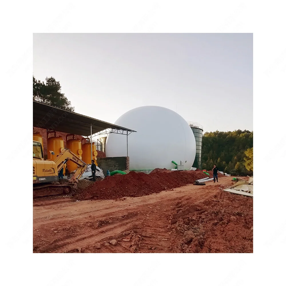 Biogas digester anaerobic fermentation tank biogas slury moter  for biogas plant to generate heat cooking fuel electircy power