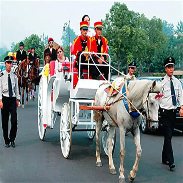 
Wheels For Horse Carriage Vis-a-vis Sightseeing Horse and Carriage 