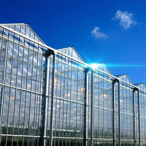 Newest Multi-span Glass Greenhouse Hydroponic Greenhouse Venlo Roof Glass Covered greenhouse