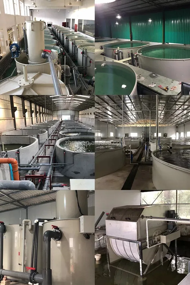 Factory price custom made high quality ras aquaculture system fish farming equipment full set for sturgeon breeding