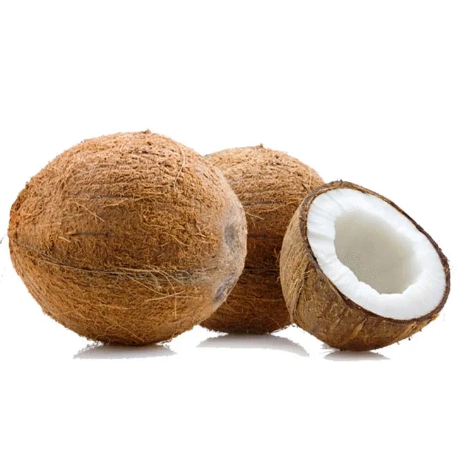 Высококачественный сухой кокосовый фрукт со вкусом кокоса, полностью очищенный кокос для продажи, сухой кокос по хорошей цене от поставщика из Вьетнама