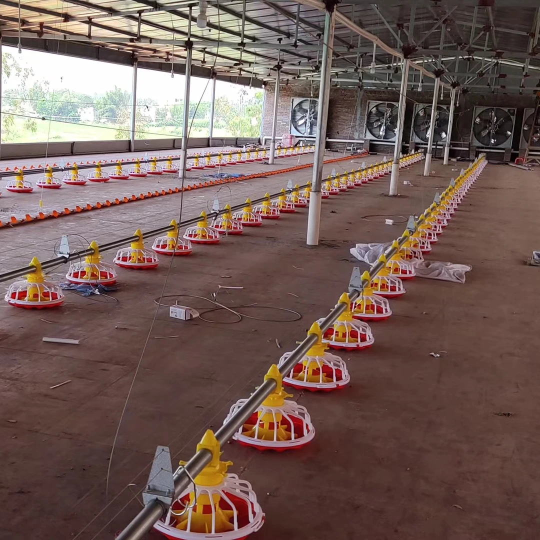 Высококачественные автоматические кормушки и поилки для цыплят и птиц, птицеферма, днём, птицы, ферма, оборудование для сбора птицы