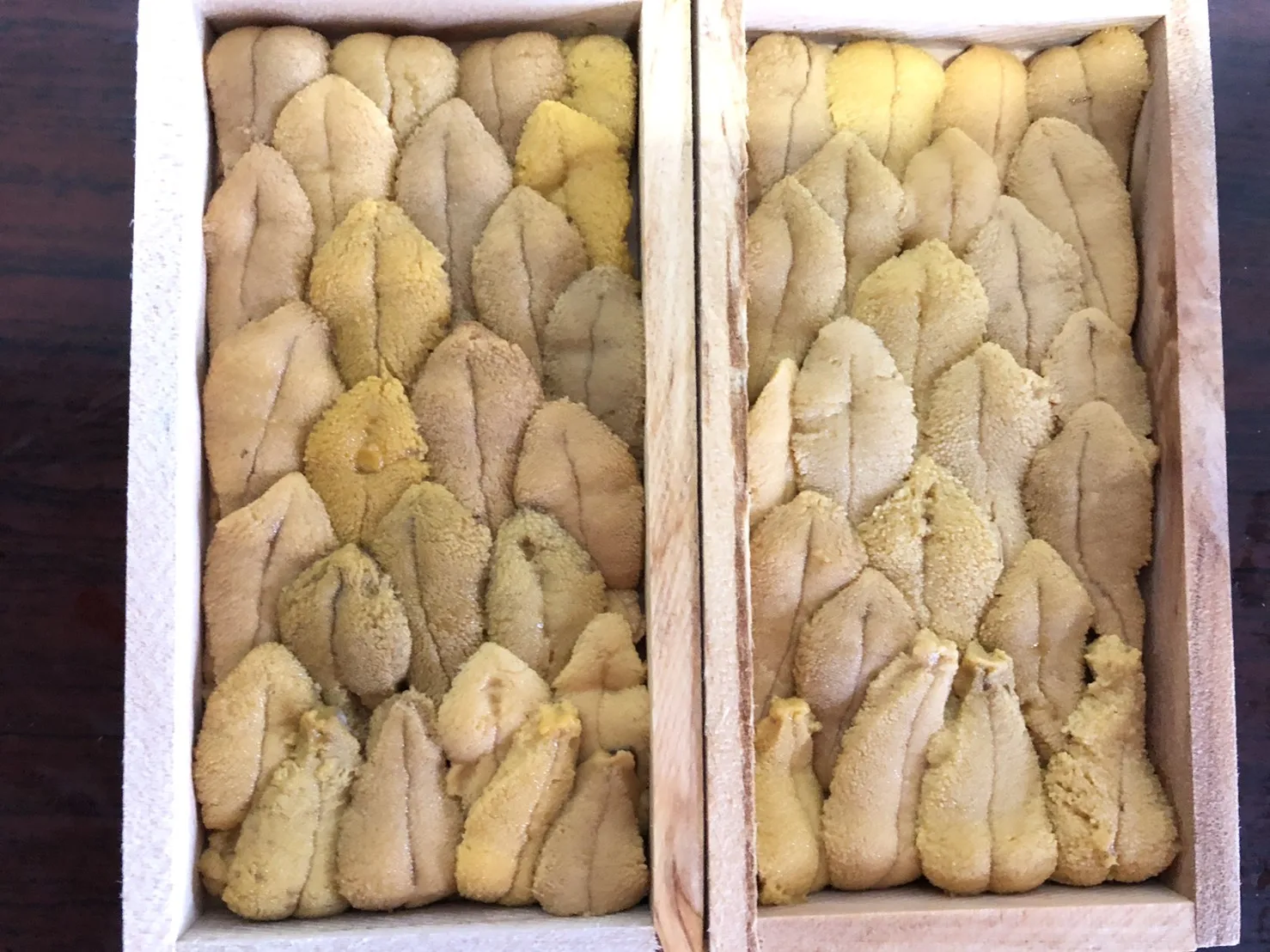 
Japan processed wholesale vacuum just-caught red fresh sea urchin 