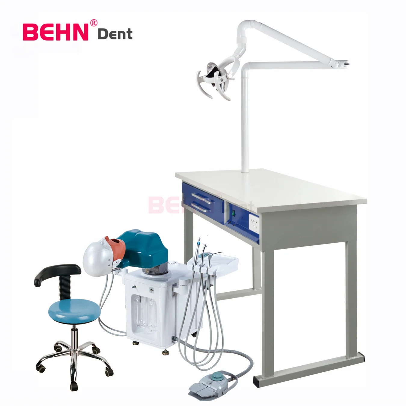 Tooth Models Senior Manikin With Torso Dental Phantom Head  Dental Simulator For Training Practice Dental Simulator