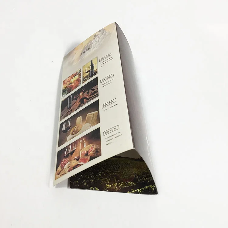 Glossy Paper Custom Paper Brochure / Booklet / Flyer / Catalog Printing