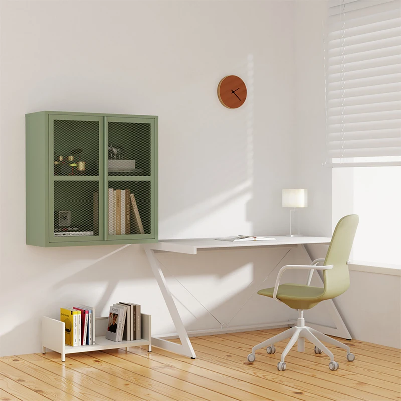 Wall-mounted bookcase modern luxury living room bookshelf cupboard home study 2 door metal cabinet for books and files