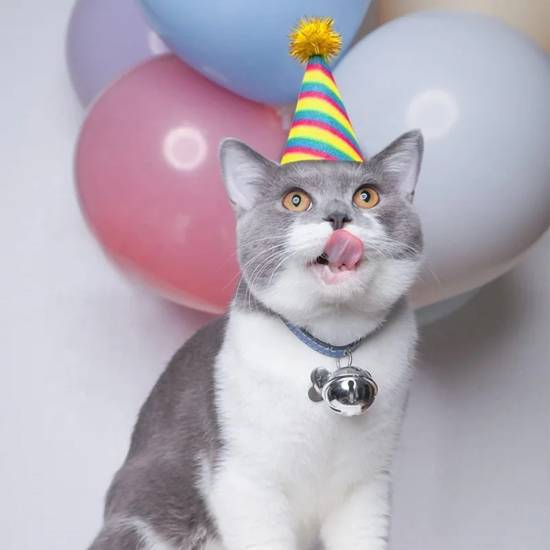 Birthday Party Accessories Dog Party Hat Pet Cap