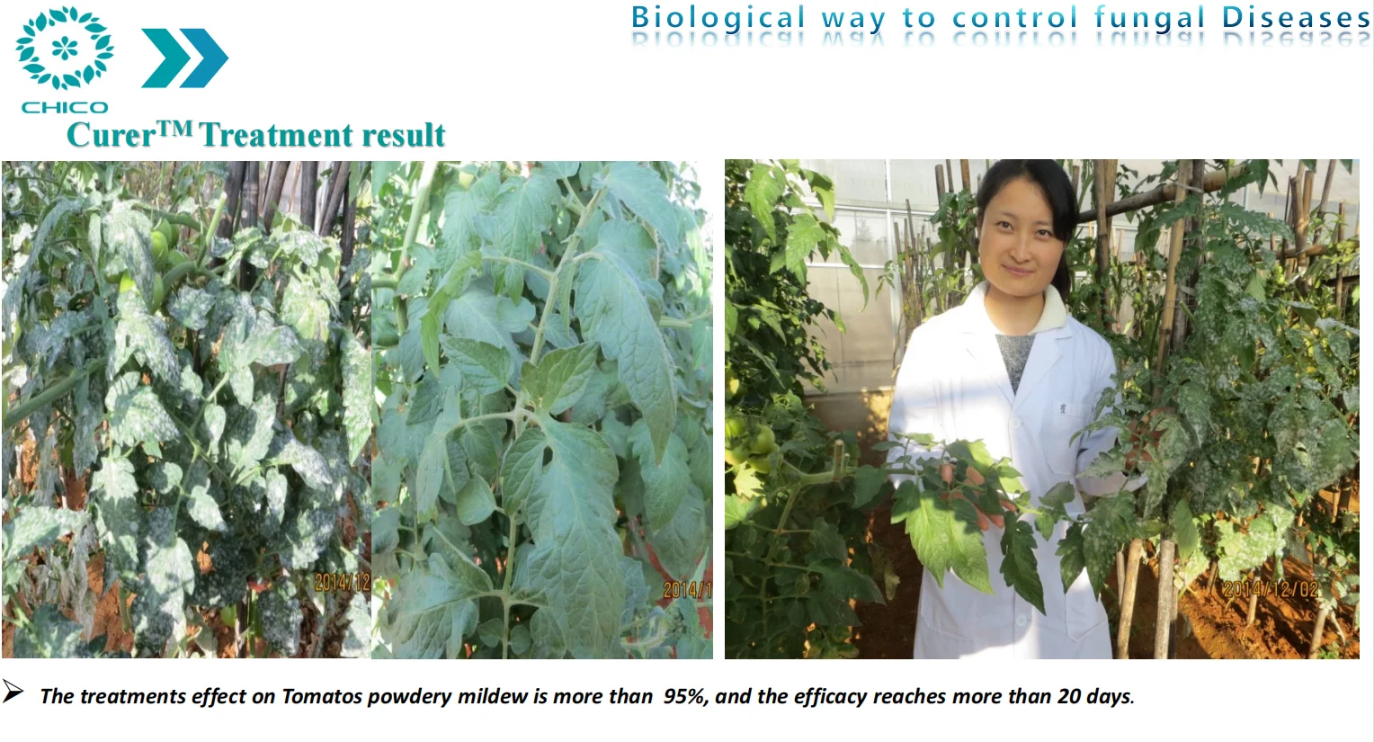 New Original High Quality Stock Liquid Dcp Coco Peat Npk In Ukraine Amino Acid Powder Fertilizer