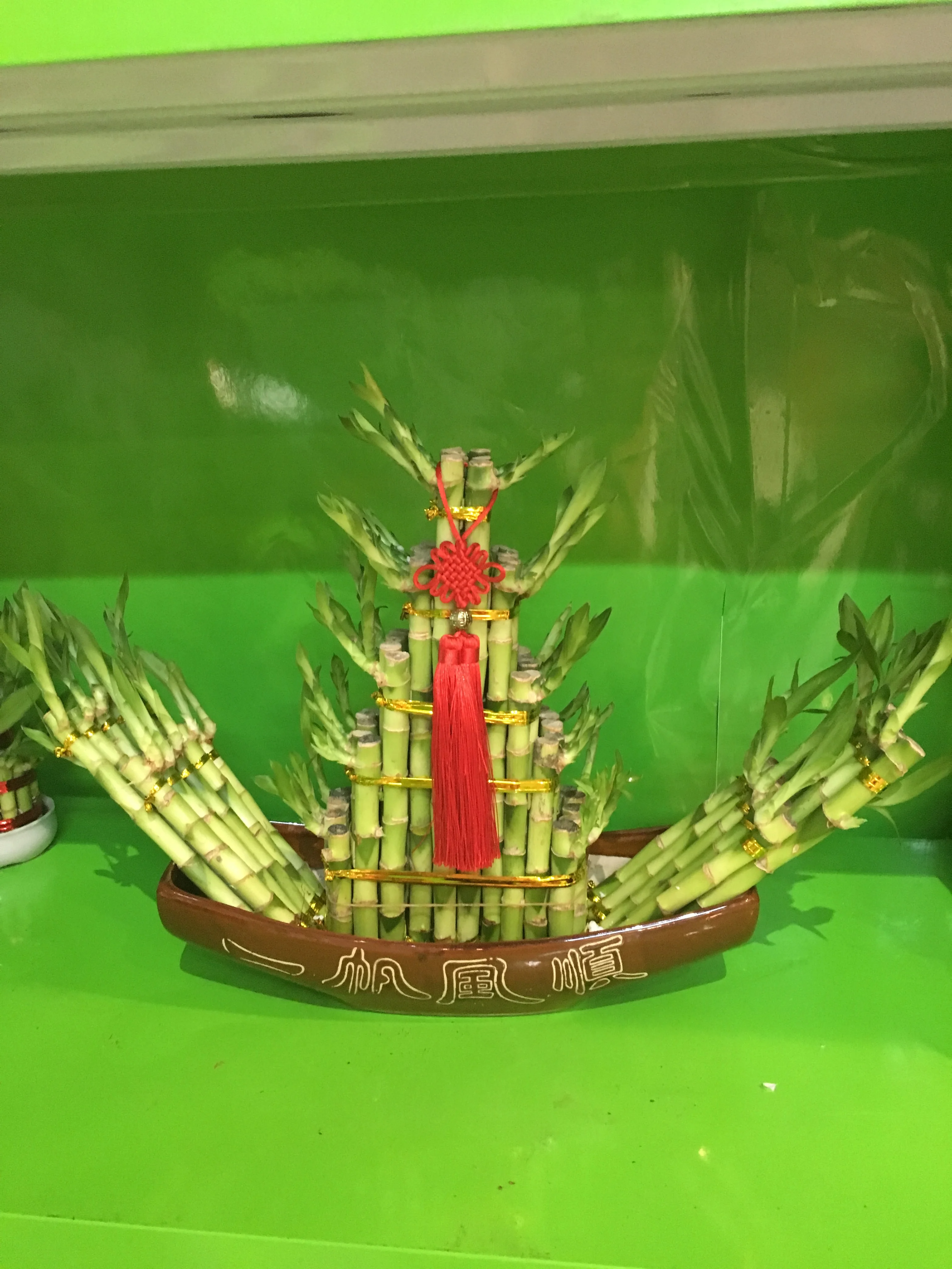 
jalor shaped boat shaped air bonsai lucky bamboo 