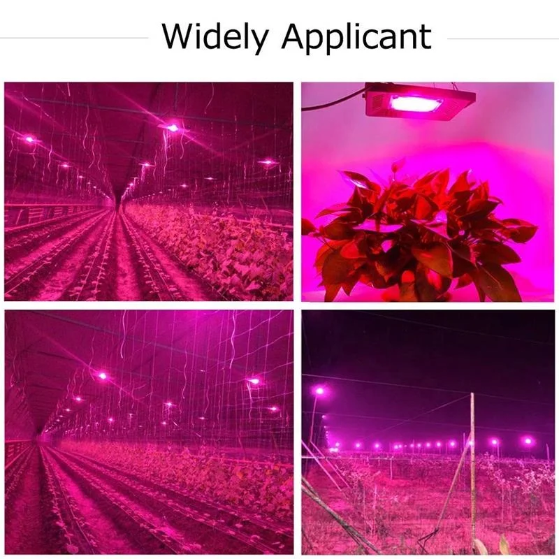 QFS-520 Back commercial hydroponics flower solar grow light  50W 100W 150W Full Spectrum indoor cob led grow lights waterproof