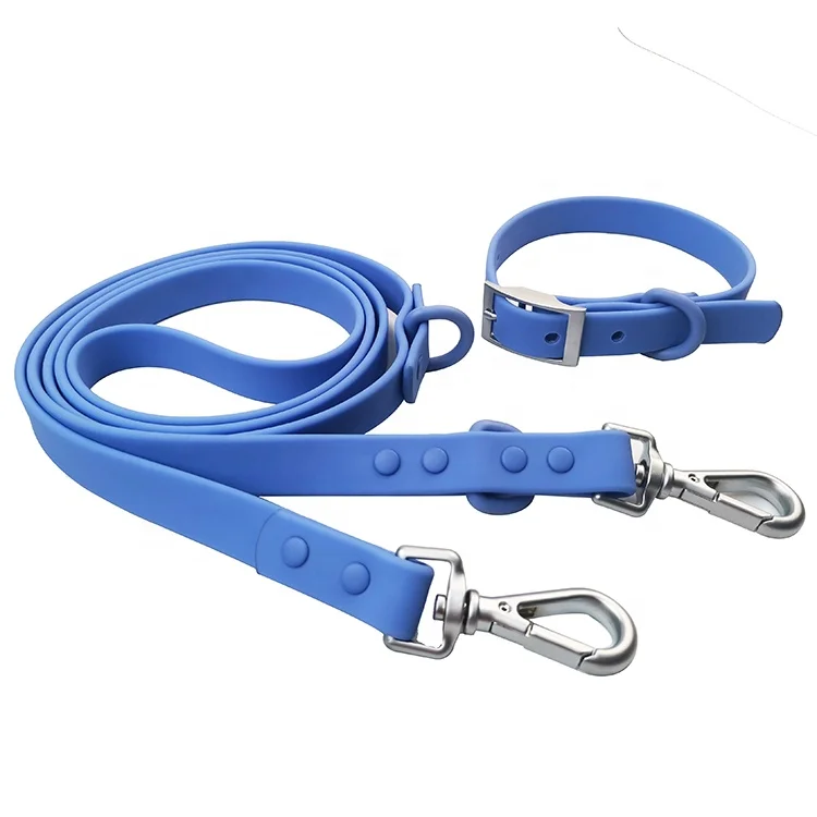 dog collar and leash (1).jpg