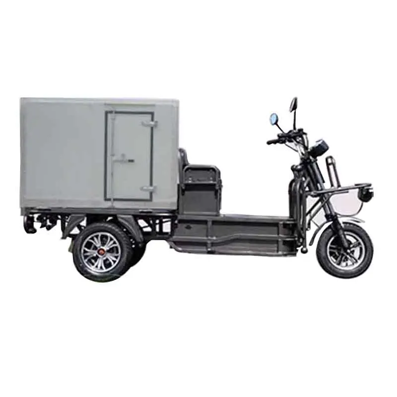 Cheap Meal and Milk Delivery 1000w 60 Volt Electric Tricycle Closed Motorized Electric Cargo Tricycle