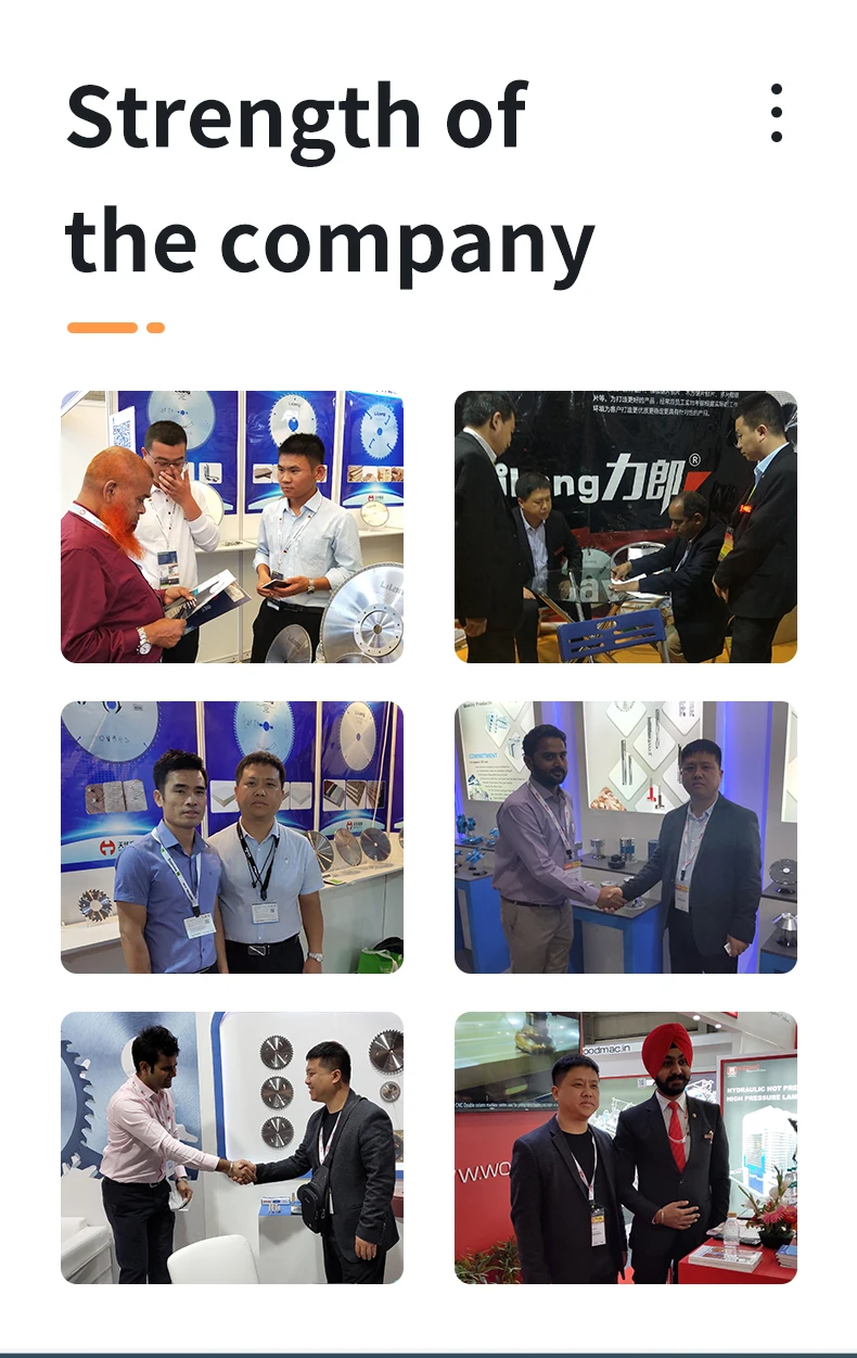 Carbide Skill Circular Tct Saw Blade 230mm For Cutting Wood