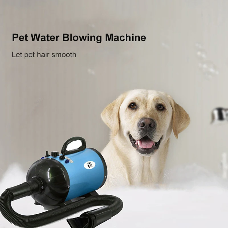 Wholesale Professional Pet Grooming Dryer Adjustable Speed Nozzles Pet Dog Hair Dryer