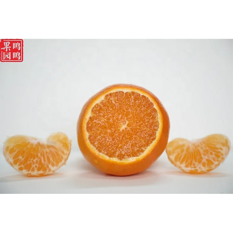 
Factory direct supply of citrus bulk fresh natural sweet fruit citrus price 