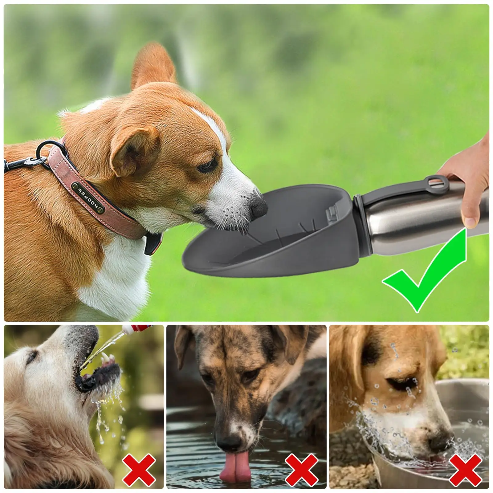 ELSPET 27oz Stainless Steel Insulated Water Bottles Leak Proof Puppy Water Dispenser for Pet Walking Travel Dog Water Bottle