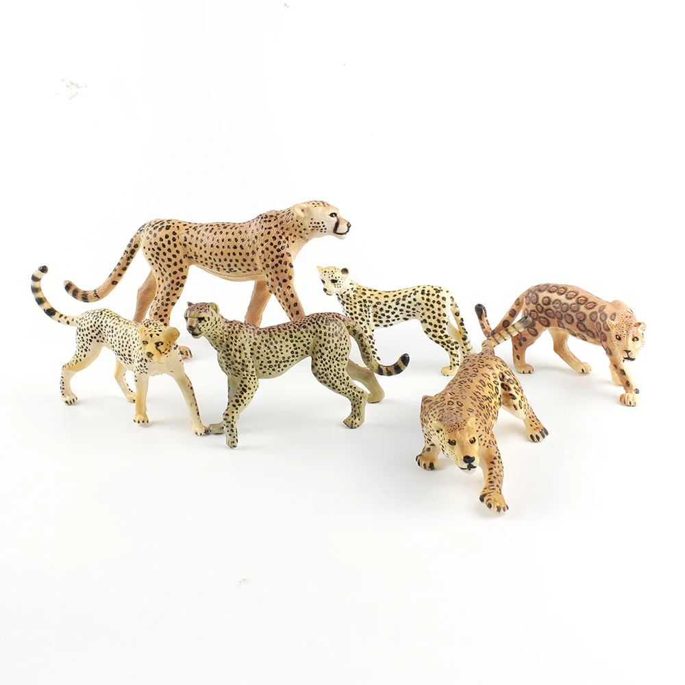 leopard