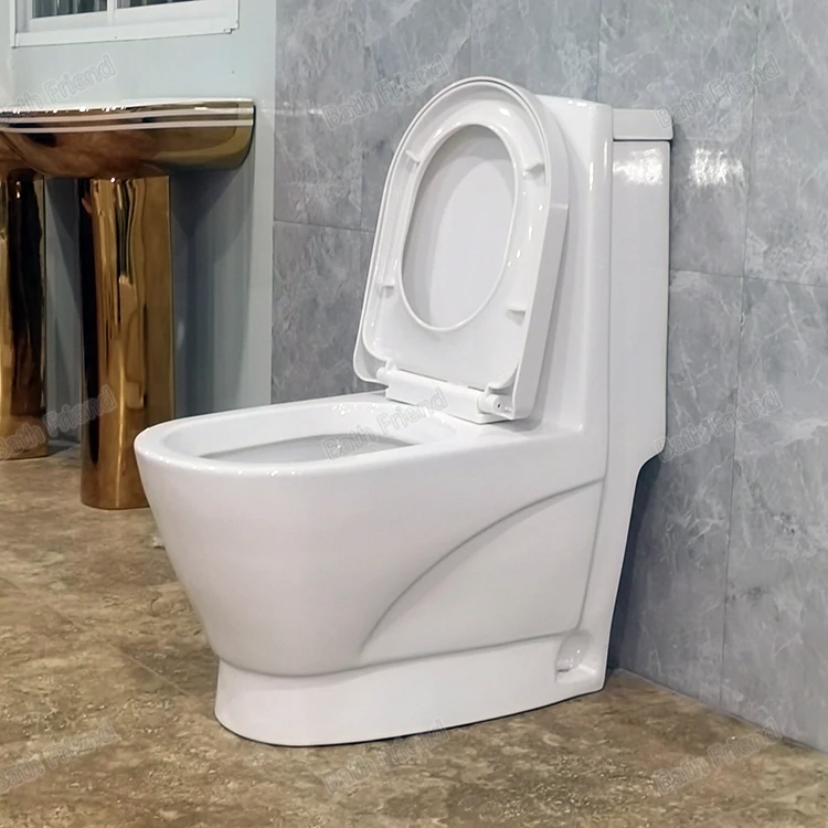 Toilet Hand Wash Basin Set Ethiopian Market Hot Sell Golden Dragon Water Closet With Accessories