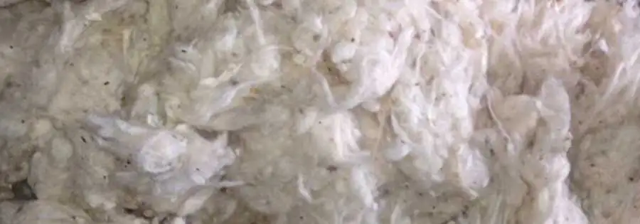 
PROCESS COTTON B GRADE 