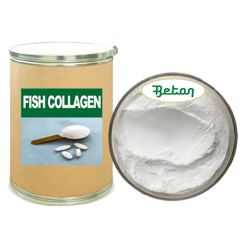 China Wholesale Hydrolyzed Halal Pure Natural Raw Material Marine Salmon Fish Collagen Peptides Powder Supplement for Beauty