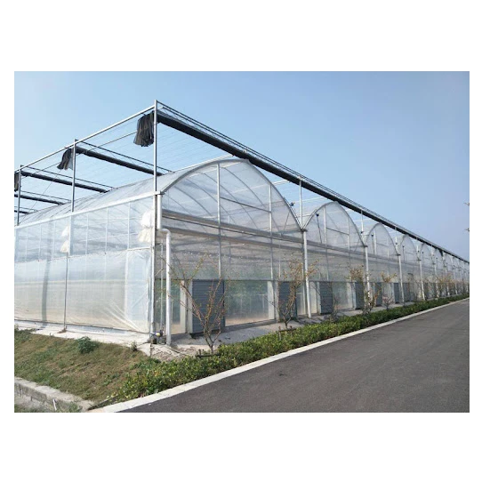 Factory price greenhouse plastic PE film multi-span greenhouse for growing vegetables and fruits