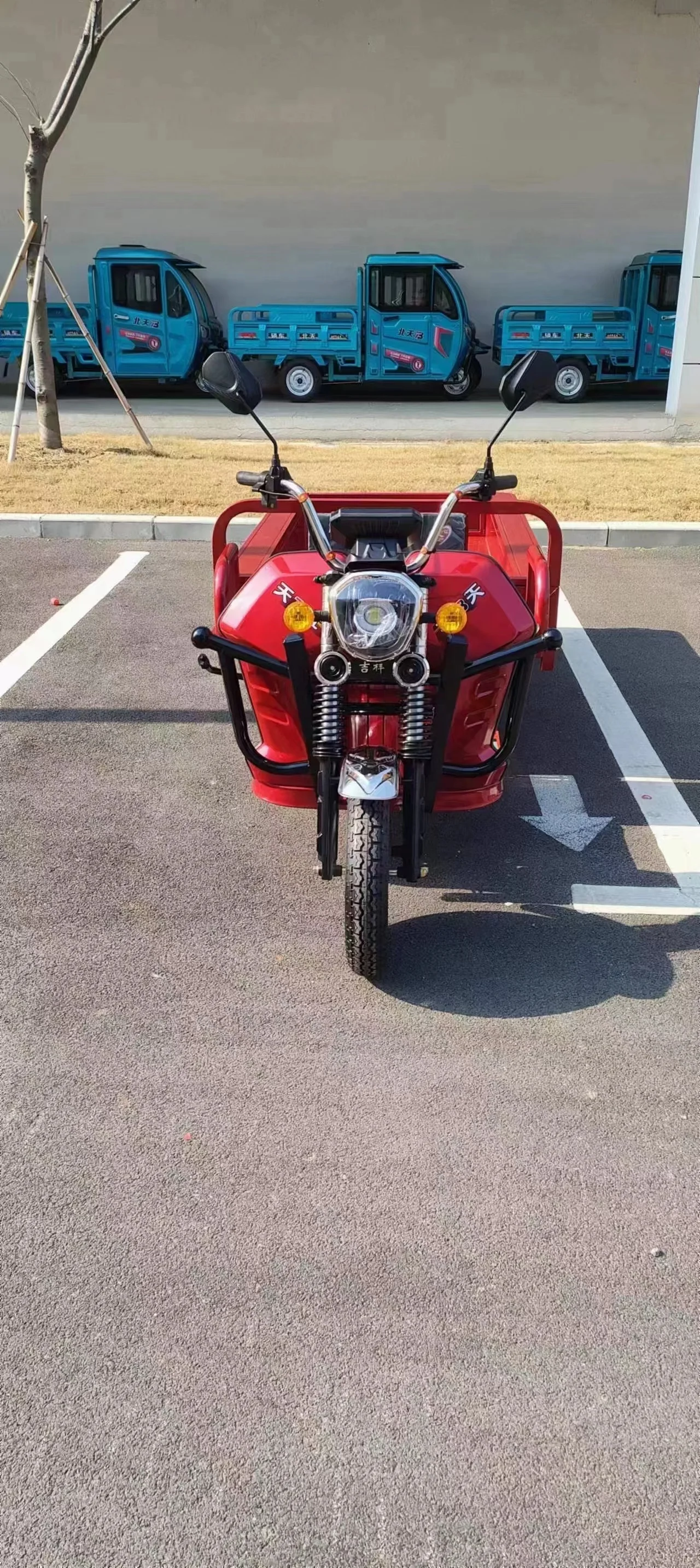 Hot 1.95m orchard car 1000W motor freight three wheels drive three wheelscles