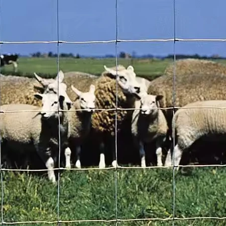 Hot Sale Deer Farm Fencing Livestock Sheep Wire Mesh Fence Cattle Fence