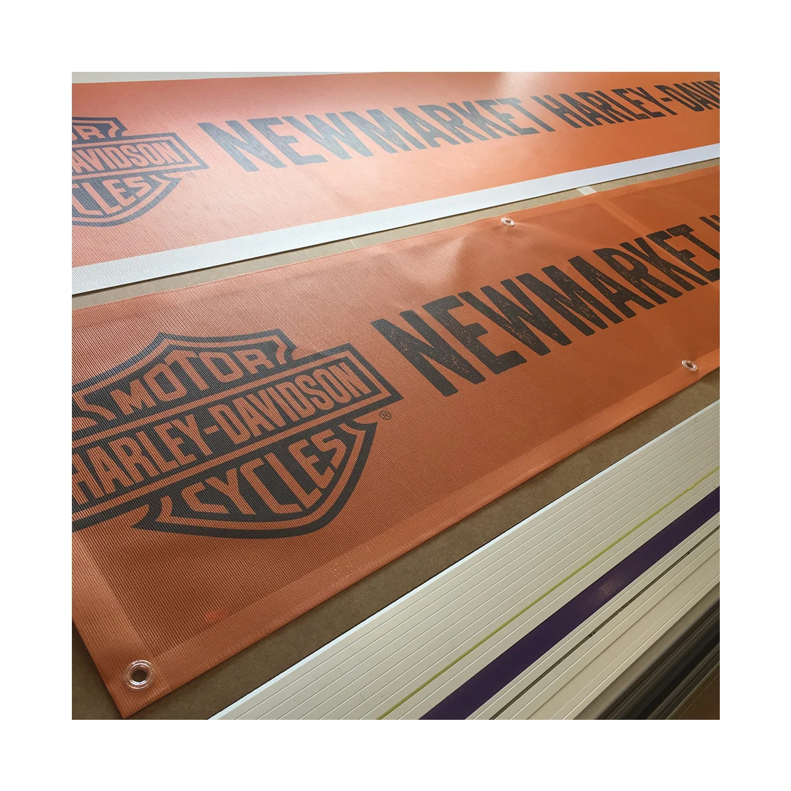 Promotion Advertising computer banner design champions banner butterfly banner