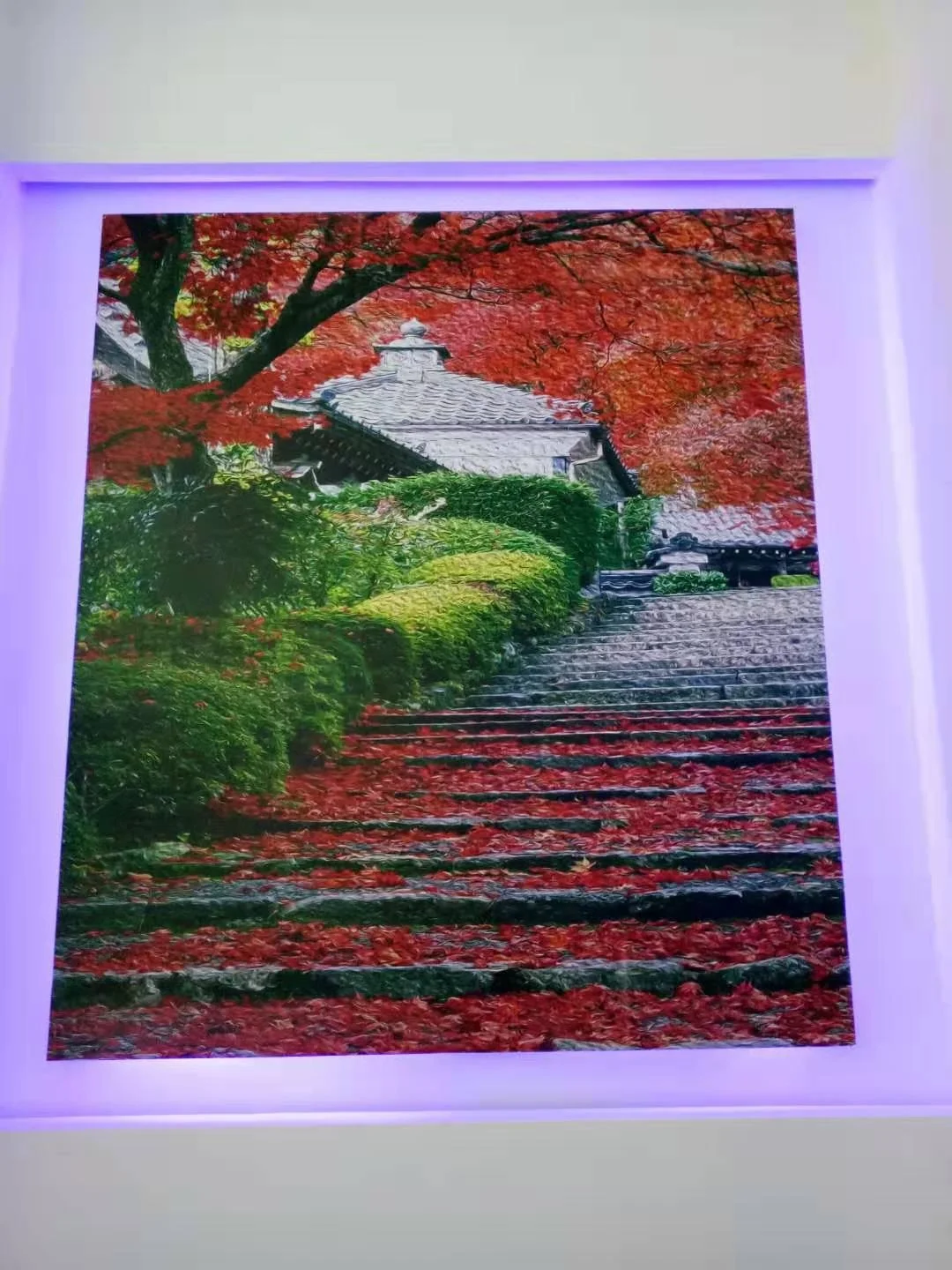 Automatic Surface Tracing HD Enhanced Version 3D Vertical Wall Painting Printer