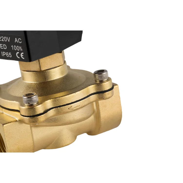 2 Inch 1 inch 12V DC 2W Brass solenoid valve normally open SS304 SS316 Submersible Solenoid Valve