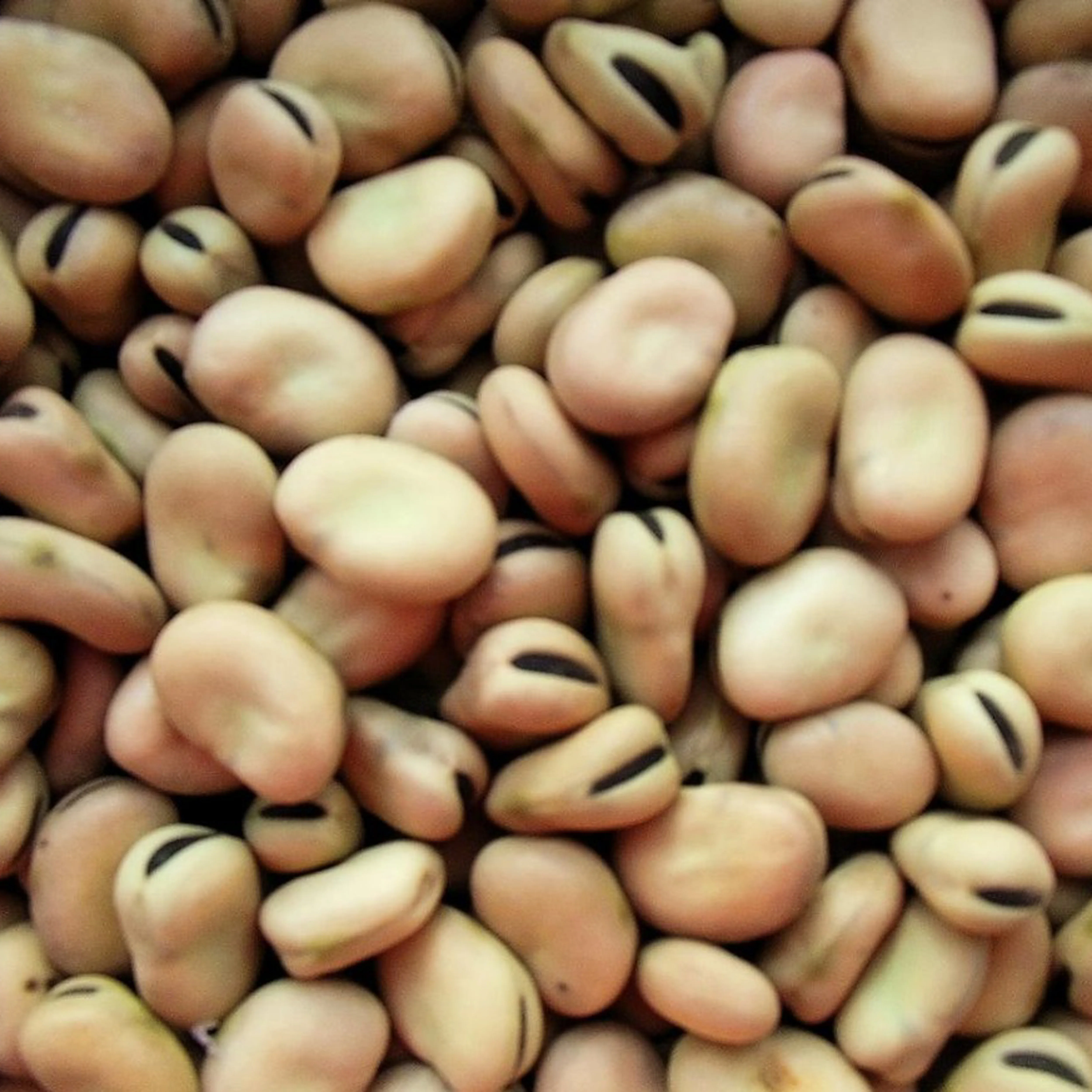 Китай, Лидер продаж, бобы, Лидер продаж, бобы