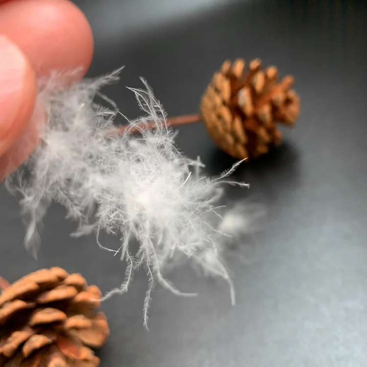 
Top Guality 95% Big Washed Muscovy White Duck Feather Down 